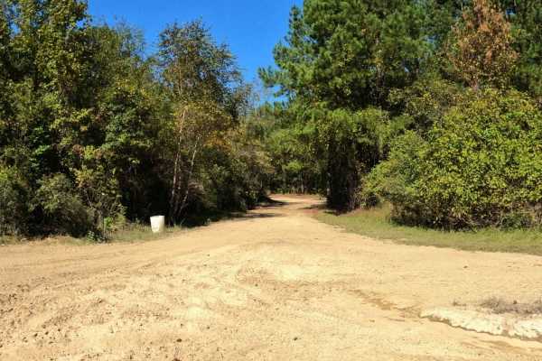 Jamey's Swamp Road