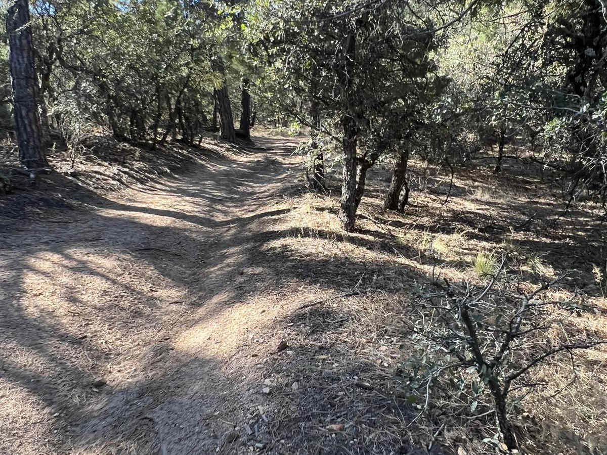 FS 4033 F Continental Divide Trail access photo 2