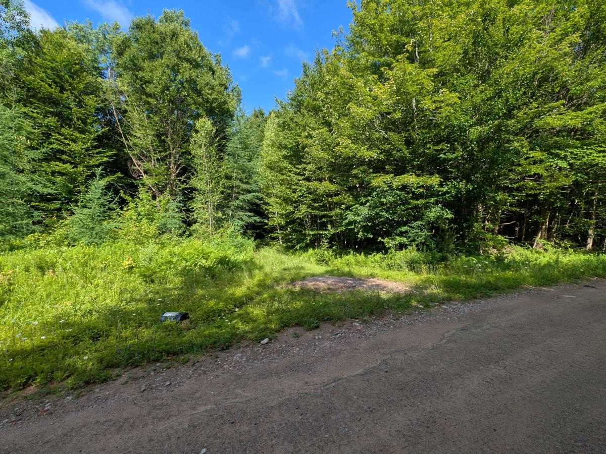 Ormsby Pond Connector trail photo