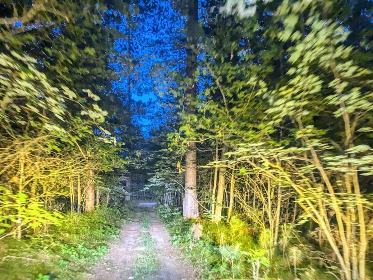West Higgins Route trail photo