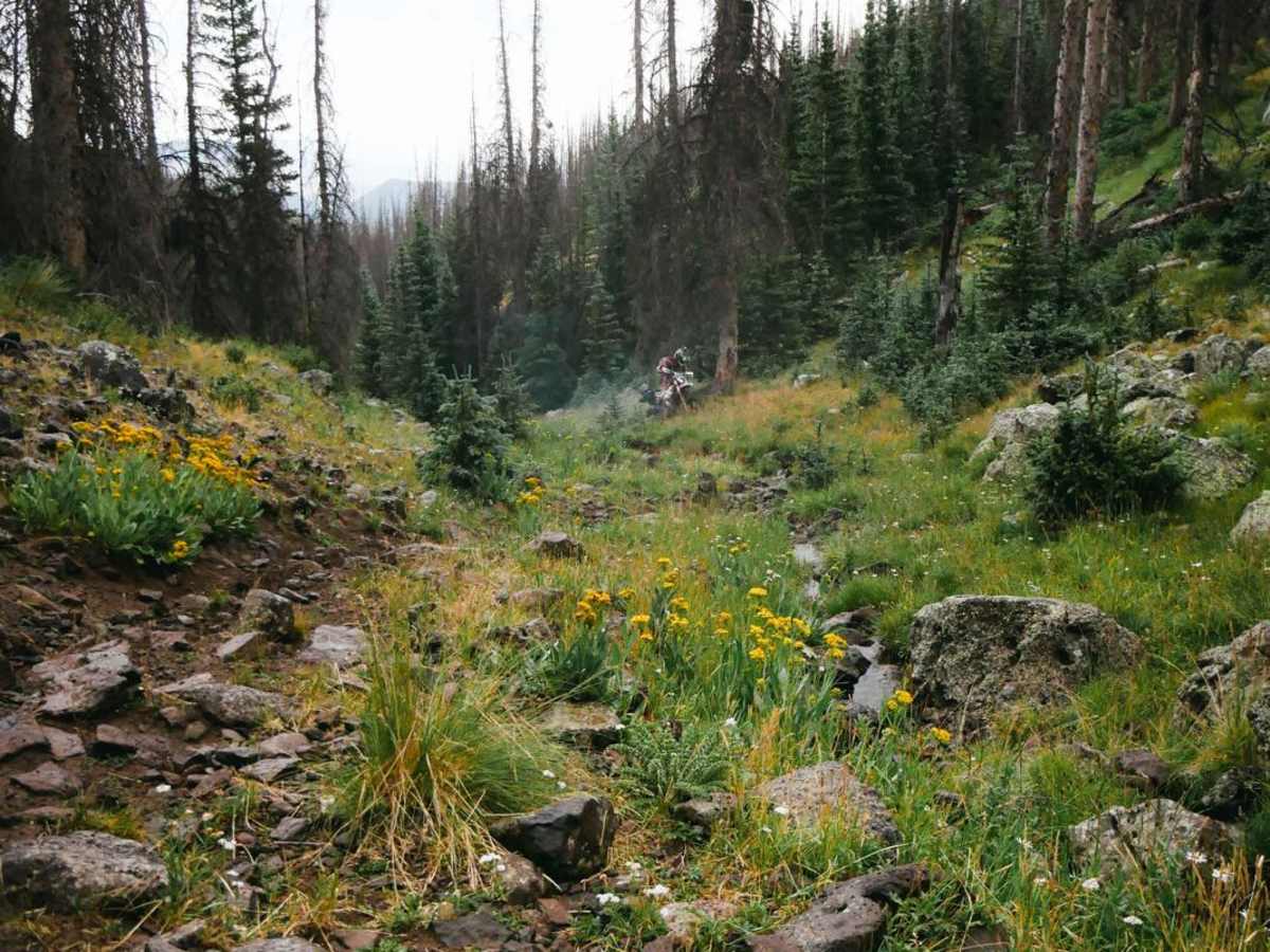 Willow Mountain Trail trail photo