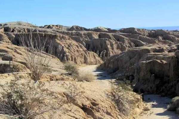 Thimble Trail