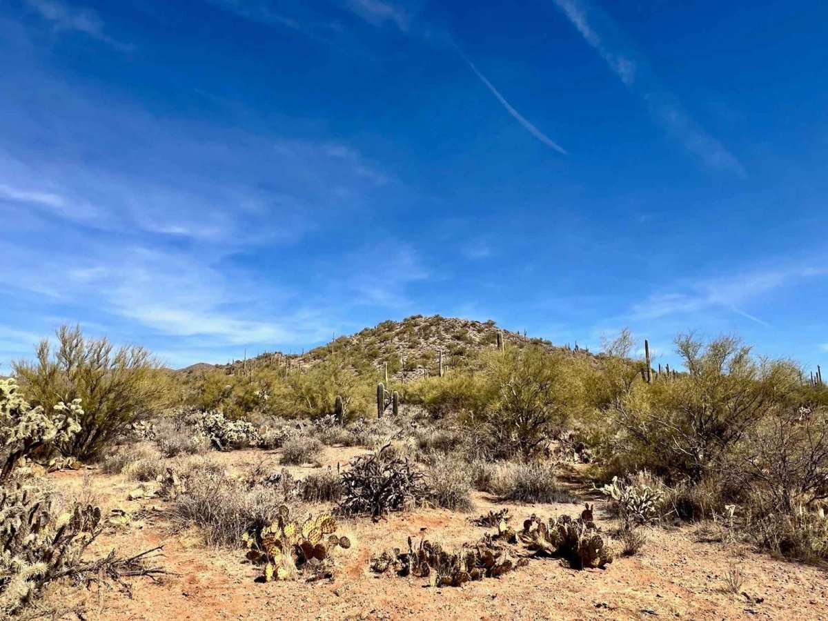 Coyote Peak West trail photo