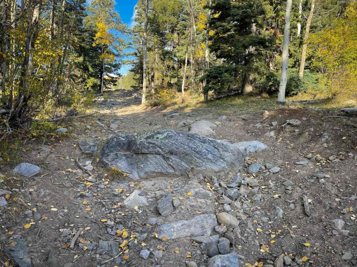 Berri View trail photo