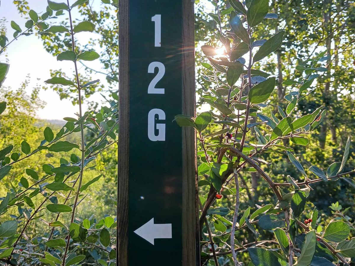 Trail 12G - Rock Run Recreation Area trail photo