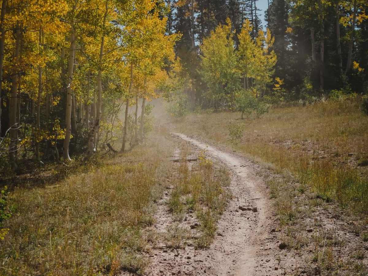 Hornet Trail photo 2