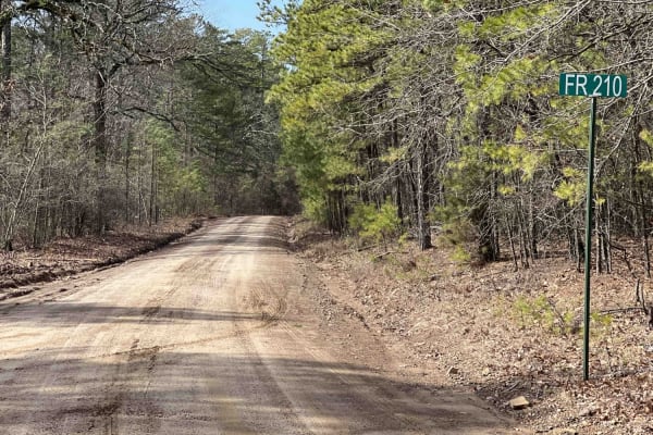 Link Mountain Road 210