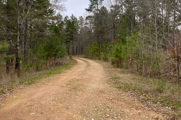 Buffalo Creek FR 28800