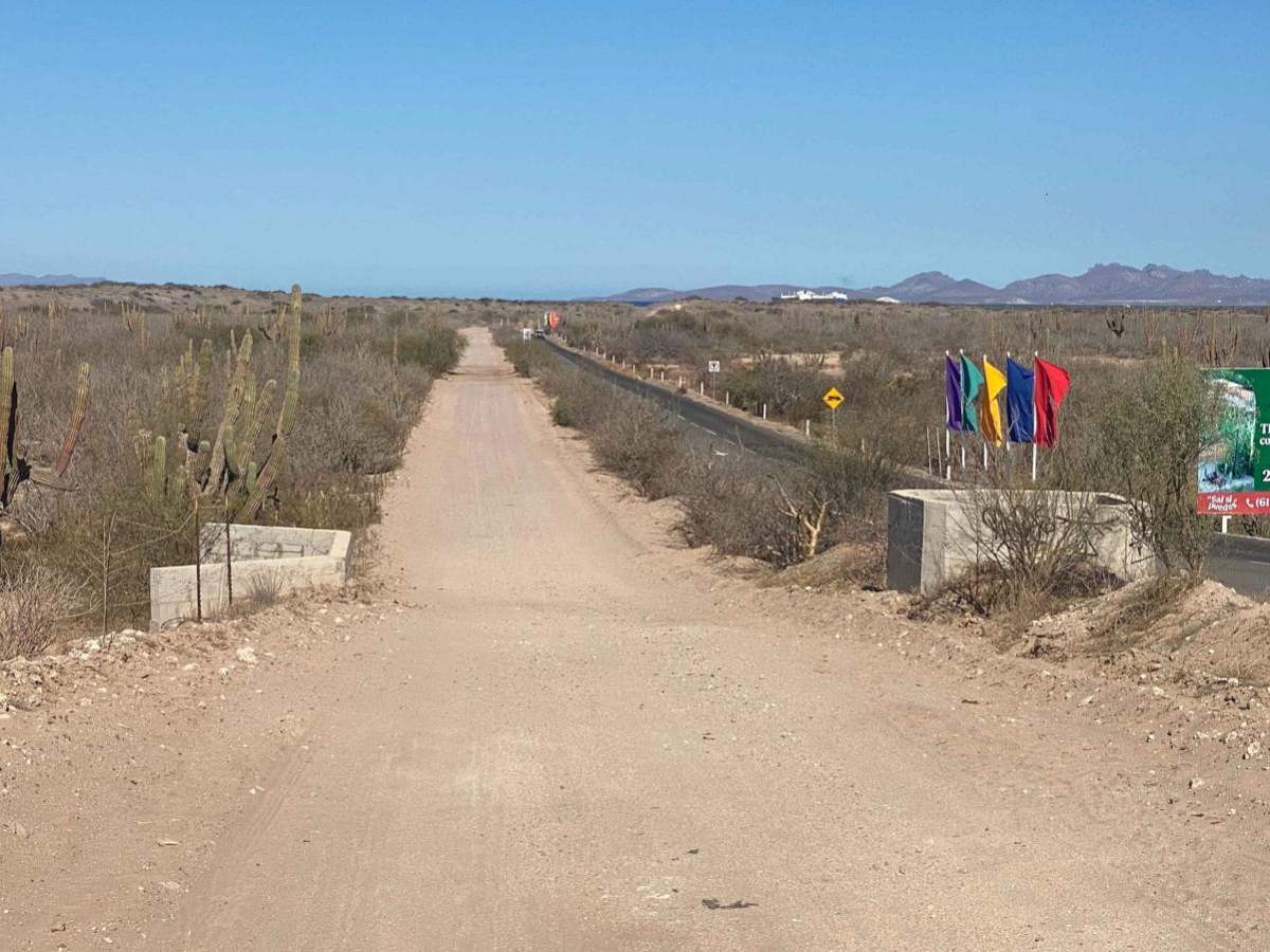 Dunas Del Mogote photo 2
