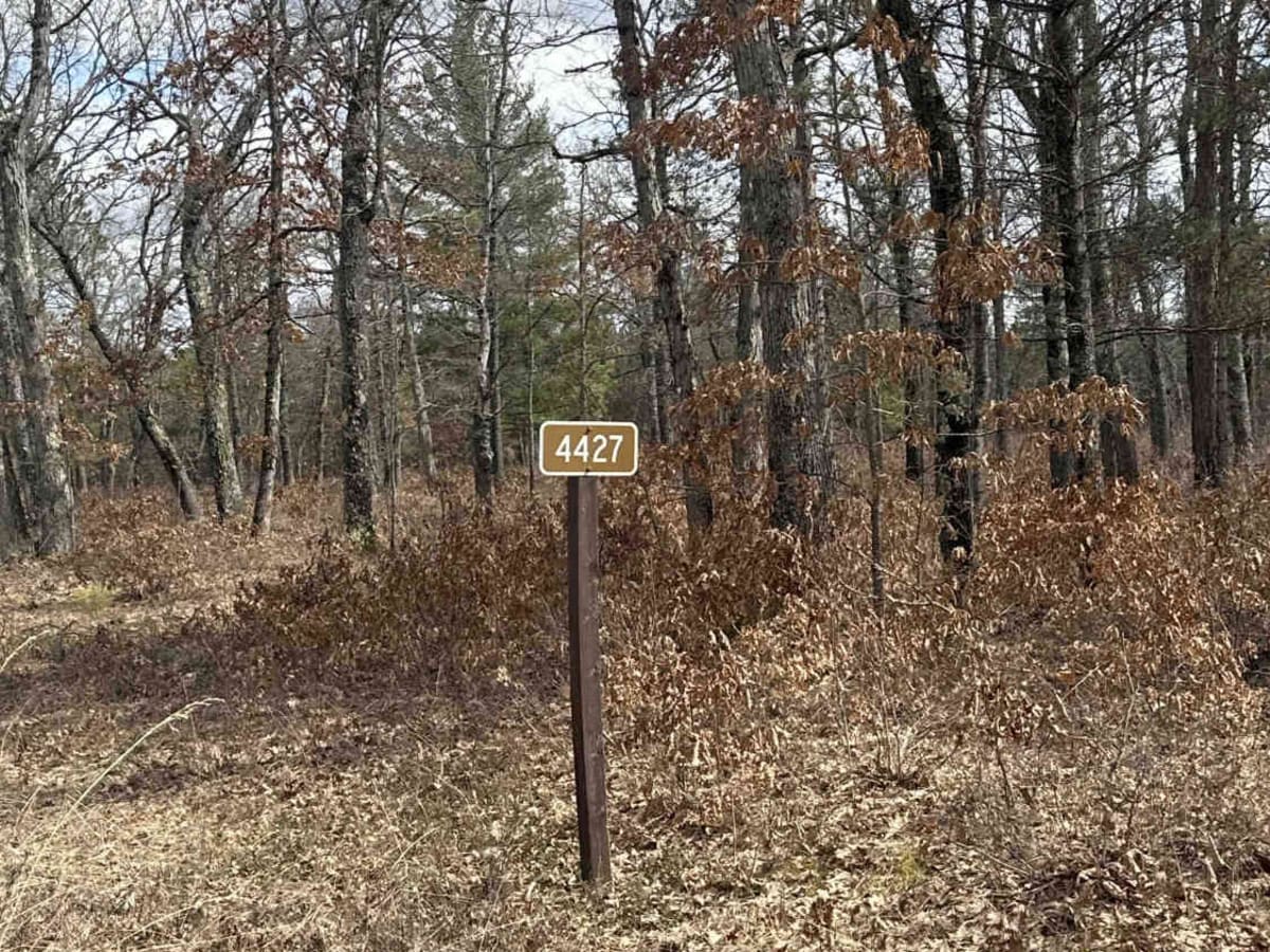 FS 4427 trail photo