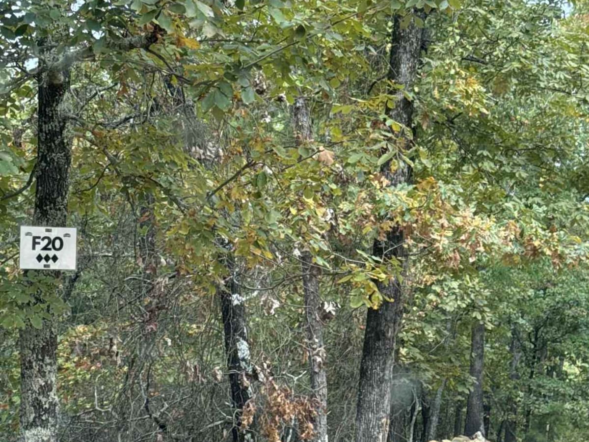 F20 Exit Trail photo 5
