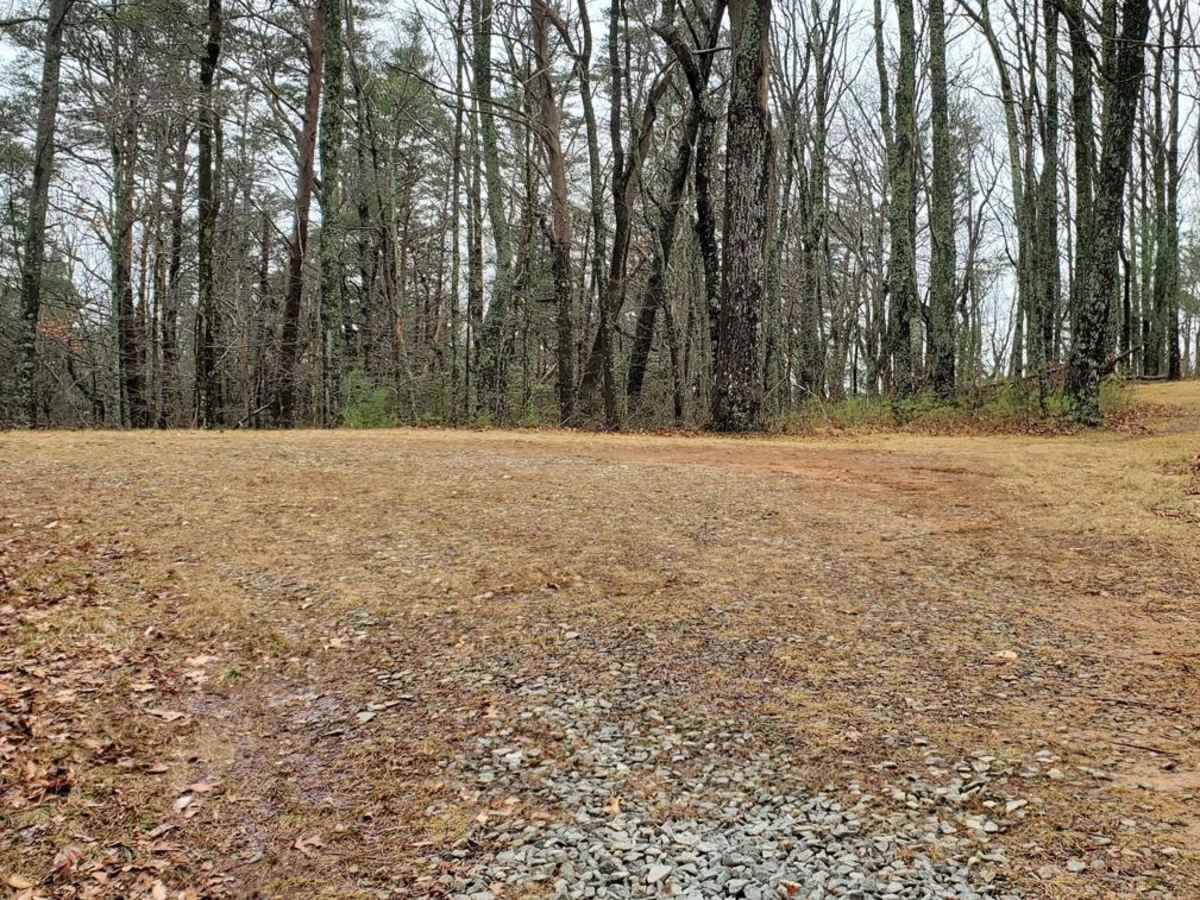 Cold Mountain - FSR 295 photo 6
