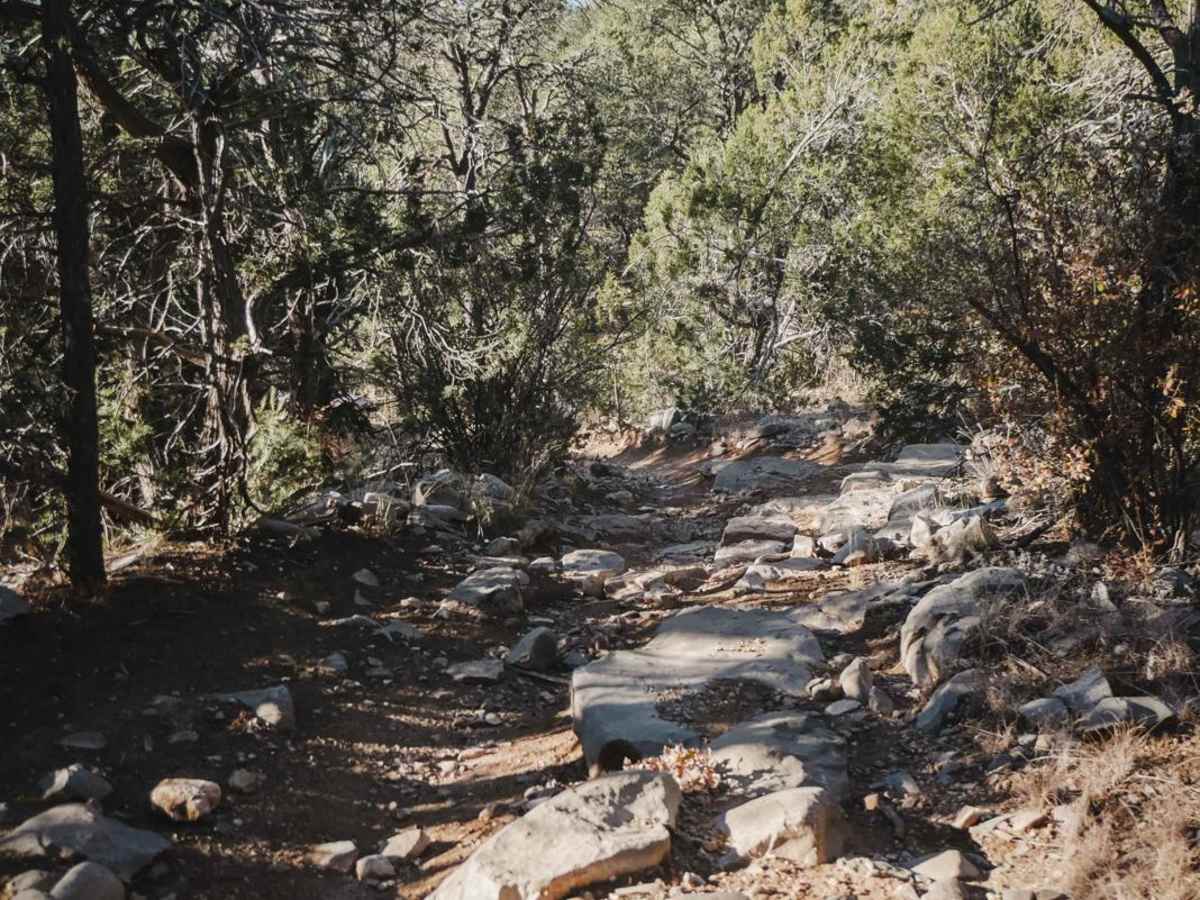 Lower Pine photo 3
