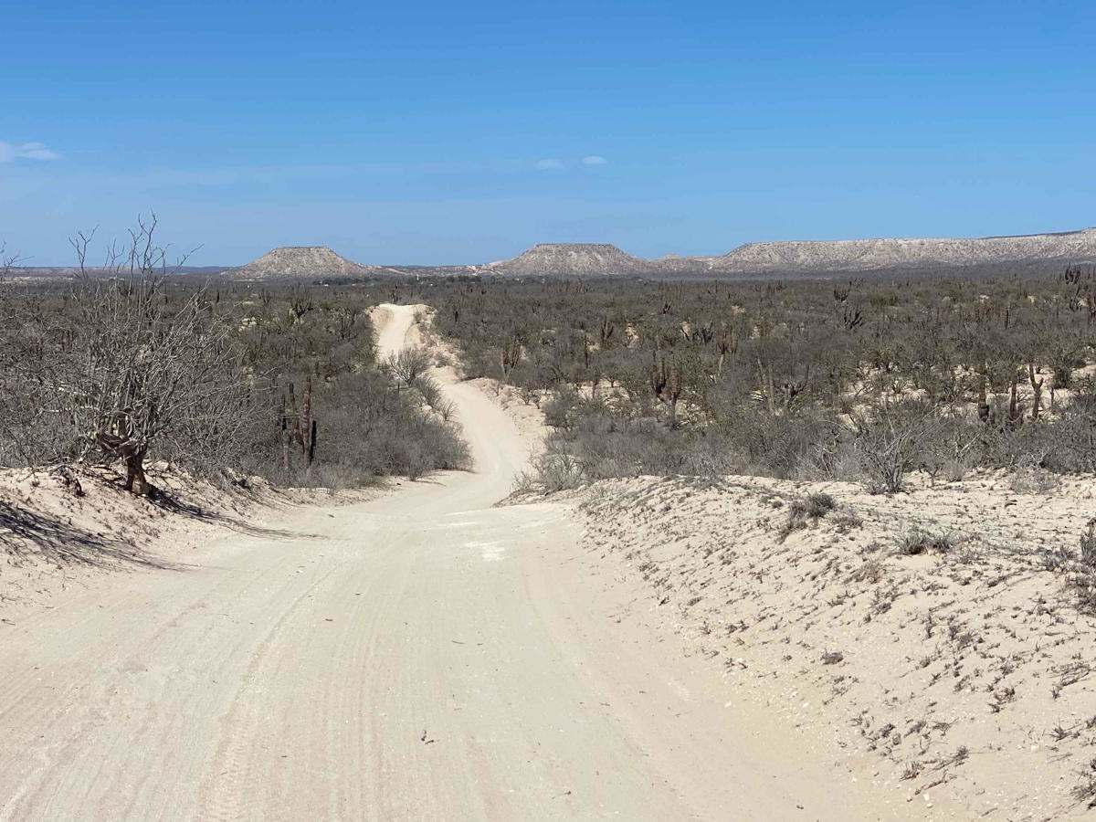 El Chaparral trail photo