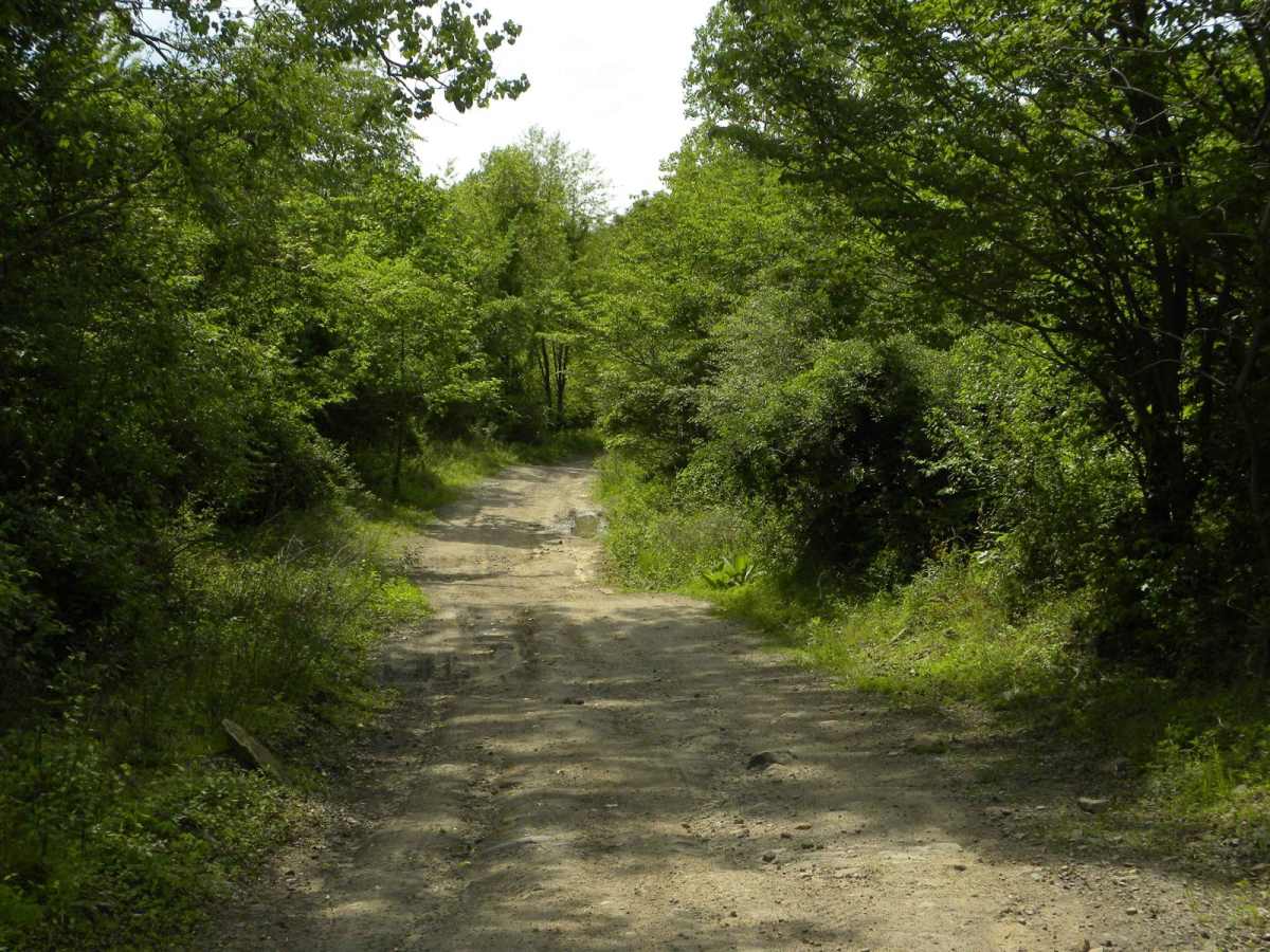 Trail 2 photo 2
