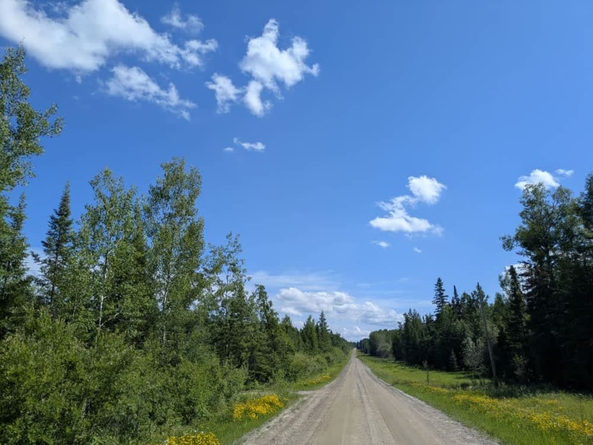 Carpenter Road photo 4