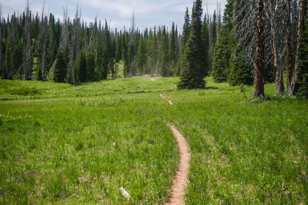 Farwell Mountain