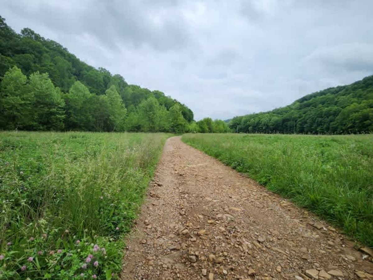 Beech Fork  Road photo 2