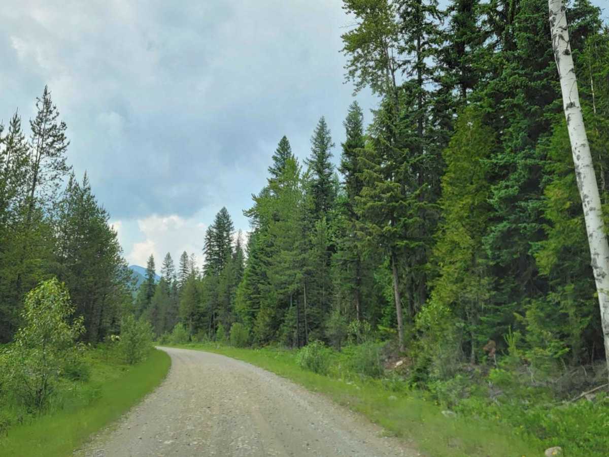 Goat River To Kamma Creek FSR photo 5