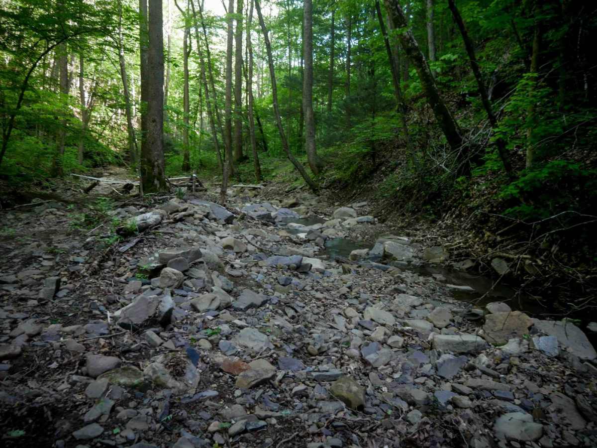 Waterfall Trail photo 3