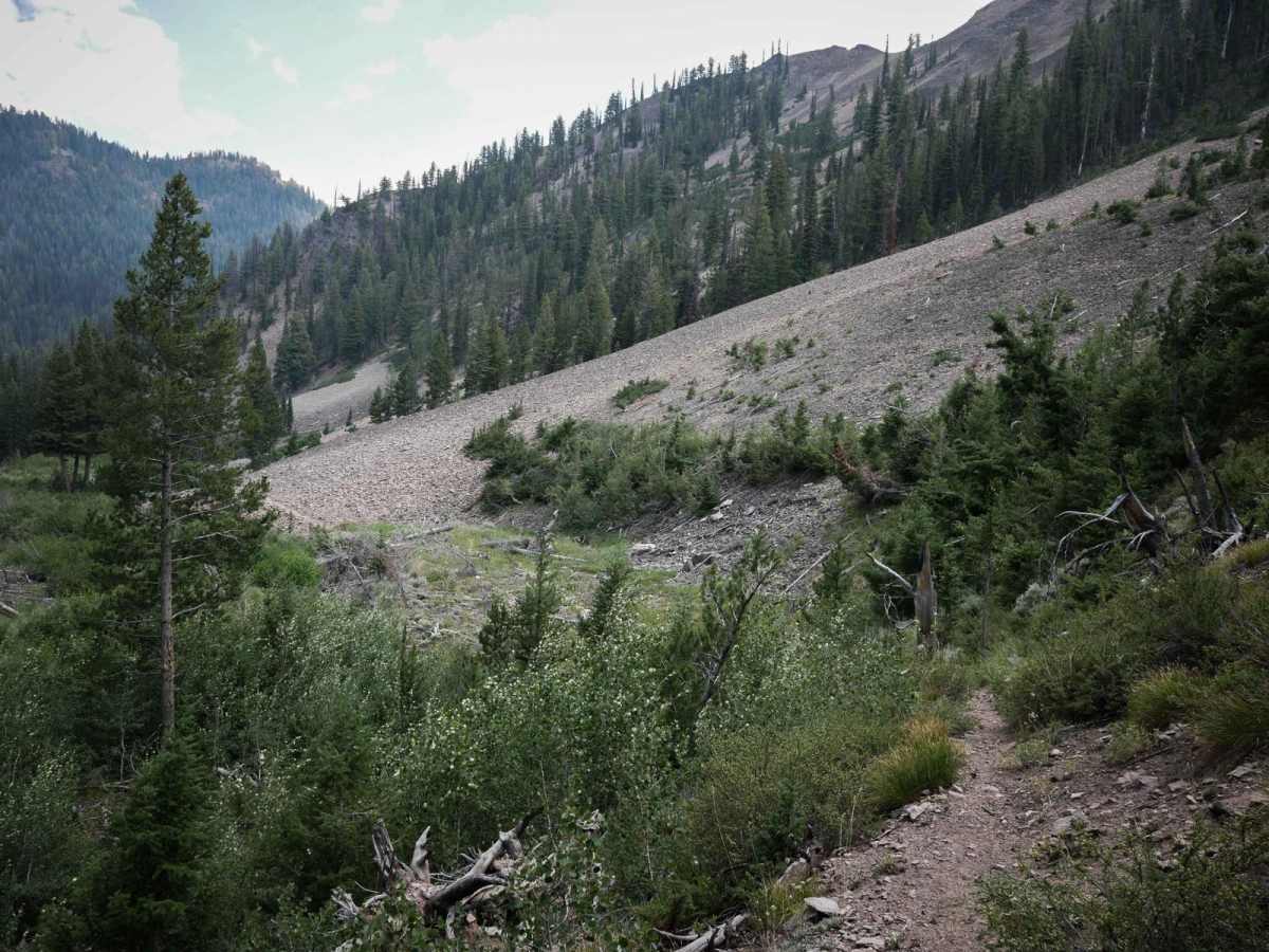 Five Mile Creek (South) trail photo