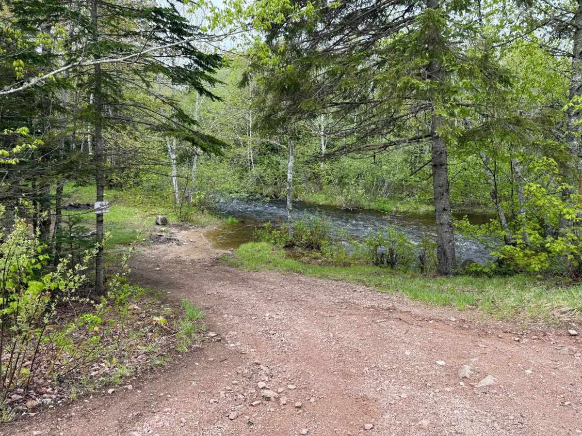 Butler Road trail photo