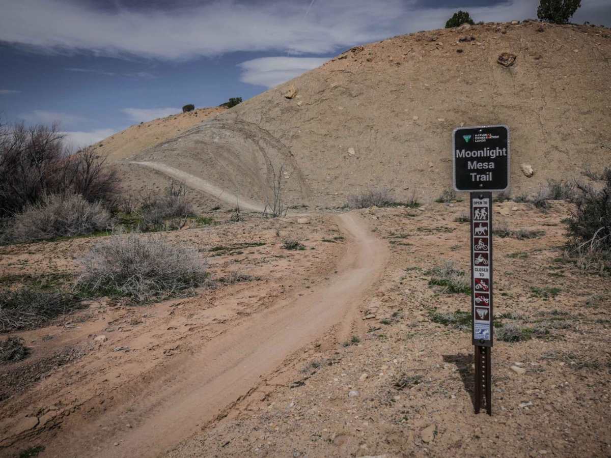 Moonlight Mesa trail photo