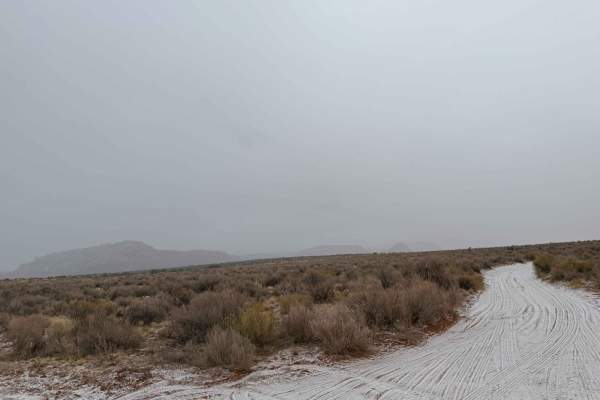 BLM M0000-M4186