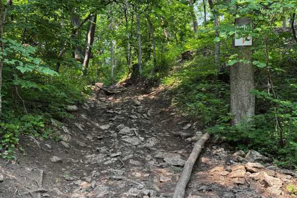 Garbage Alley 122