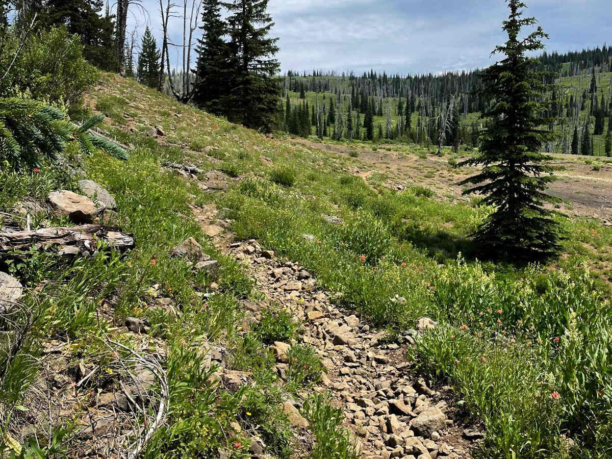 Clayburn Creek West trail photo