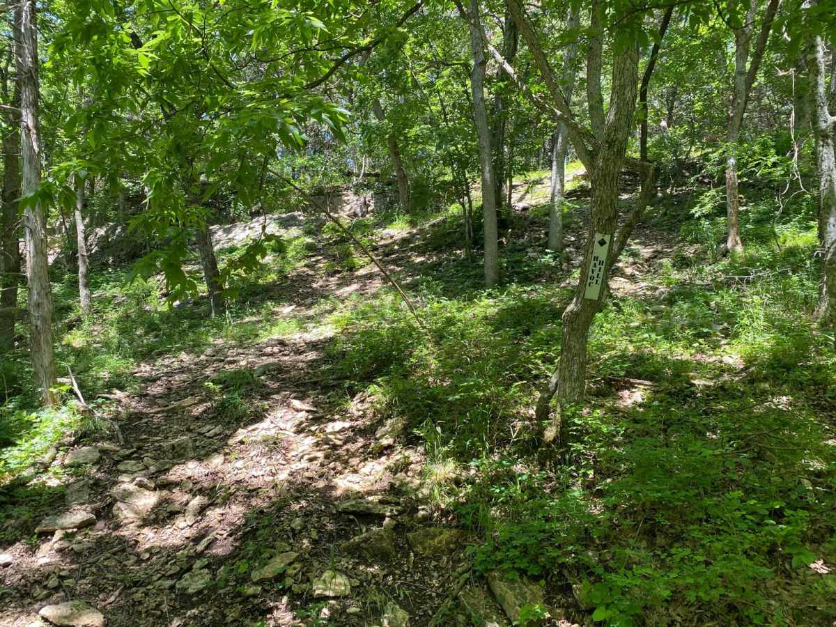 Havoc Hill photo 5