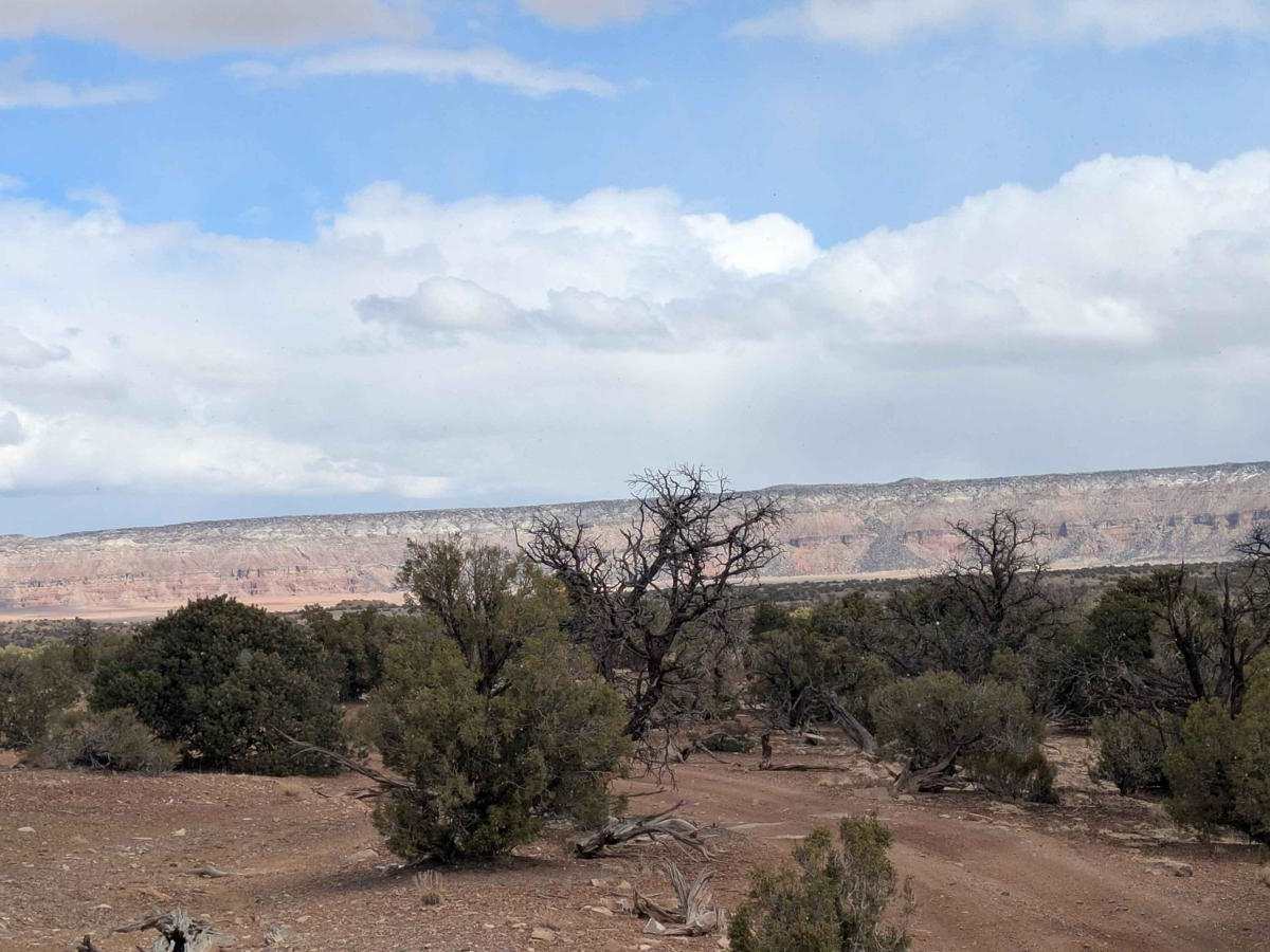 Wedge Overlook Loop 1 photo 3
