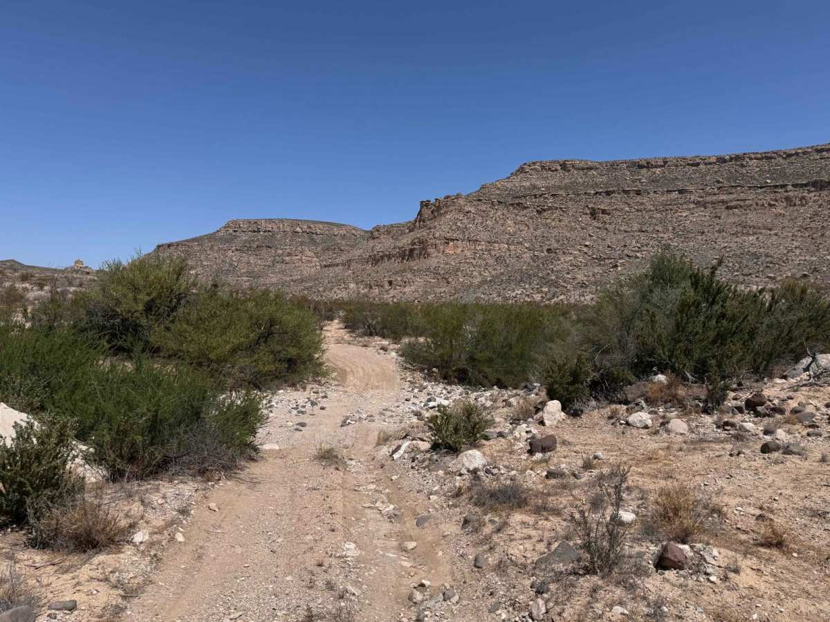Black Gap Wildlife Management Area Road photo 3