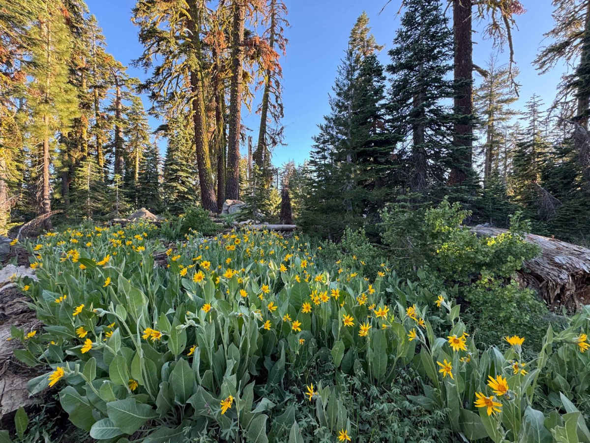 Summit Lake photo 5