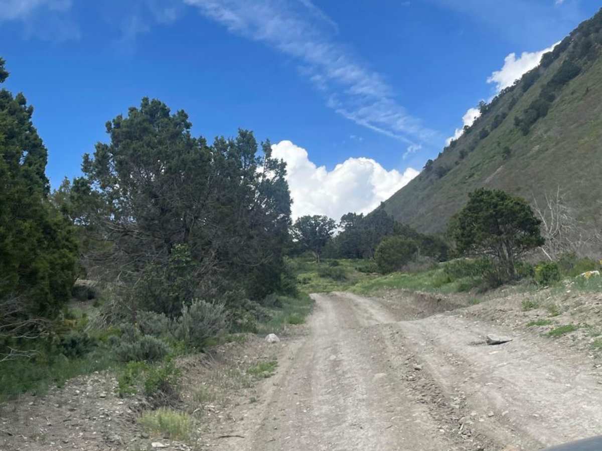 Light Hill Road photo 2