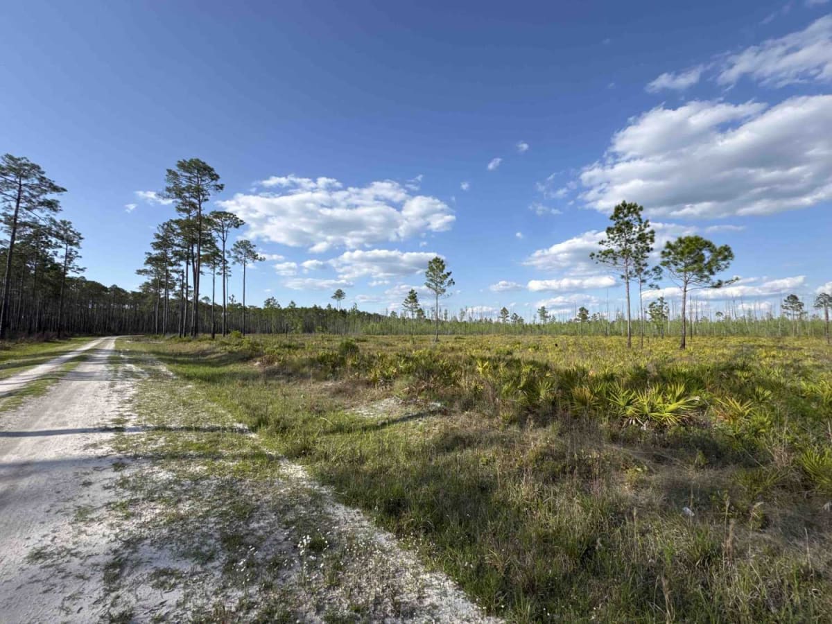 Mount Carrie - Osceola NF 234 photo 3
