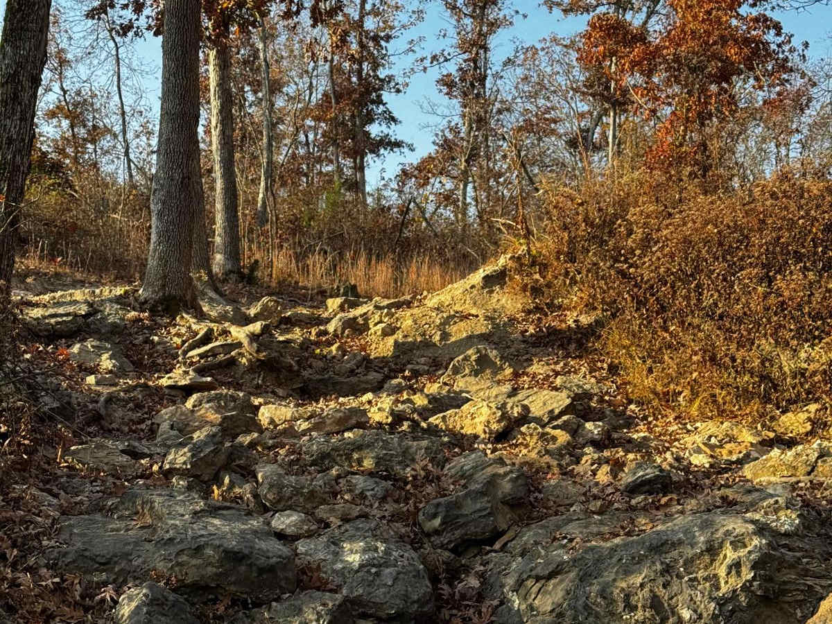 Rocky Road photo 2