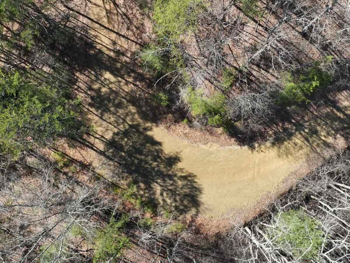 Archer Run photo 4