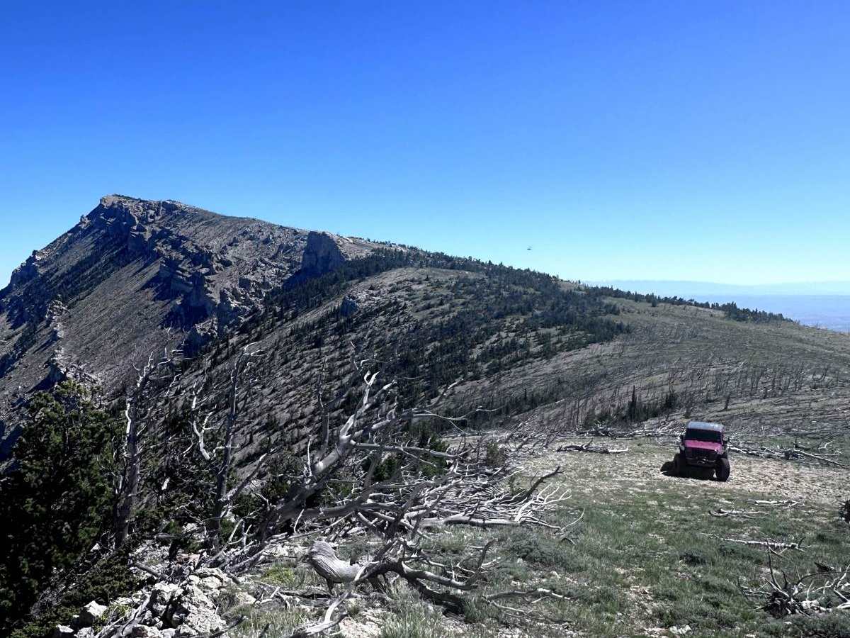 Bald Ridge - FSR 100 trail photo