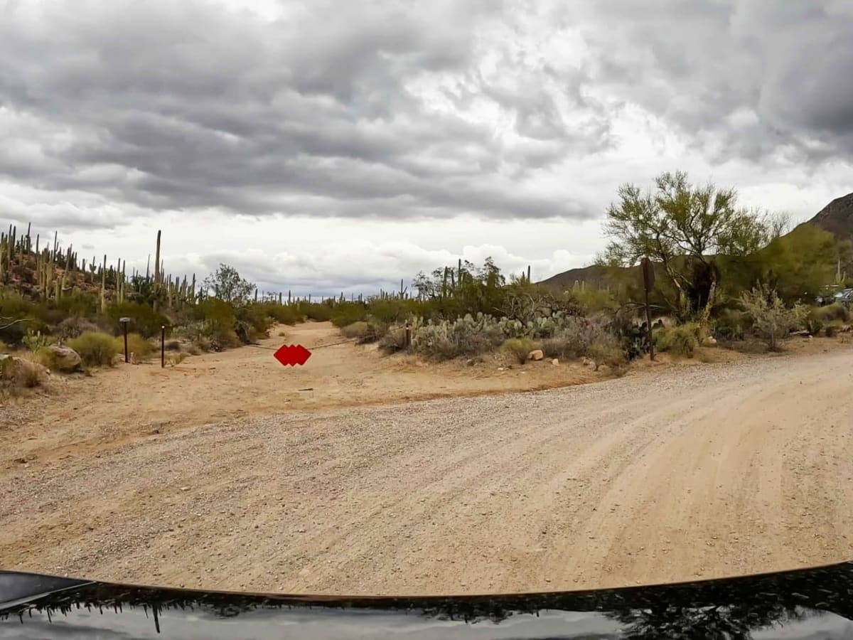 Bajada Loop, Saguaro NP photo 5