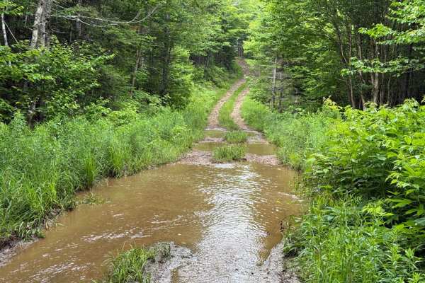 Sandy MacDonald Trail
