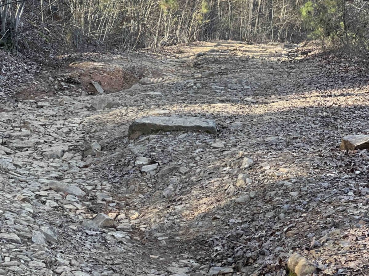 Wildcat Mountain 179 photo 3