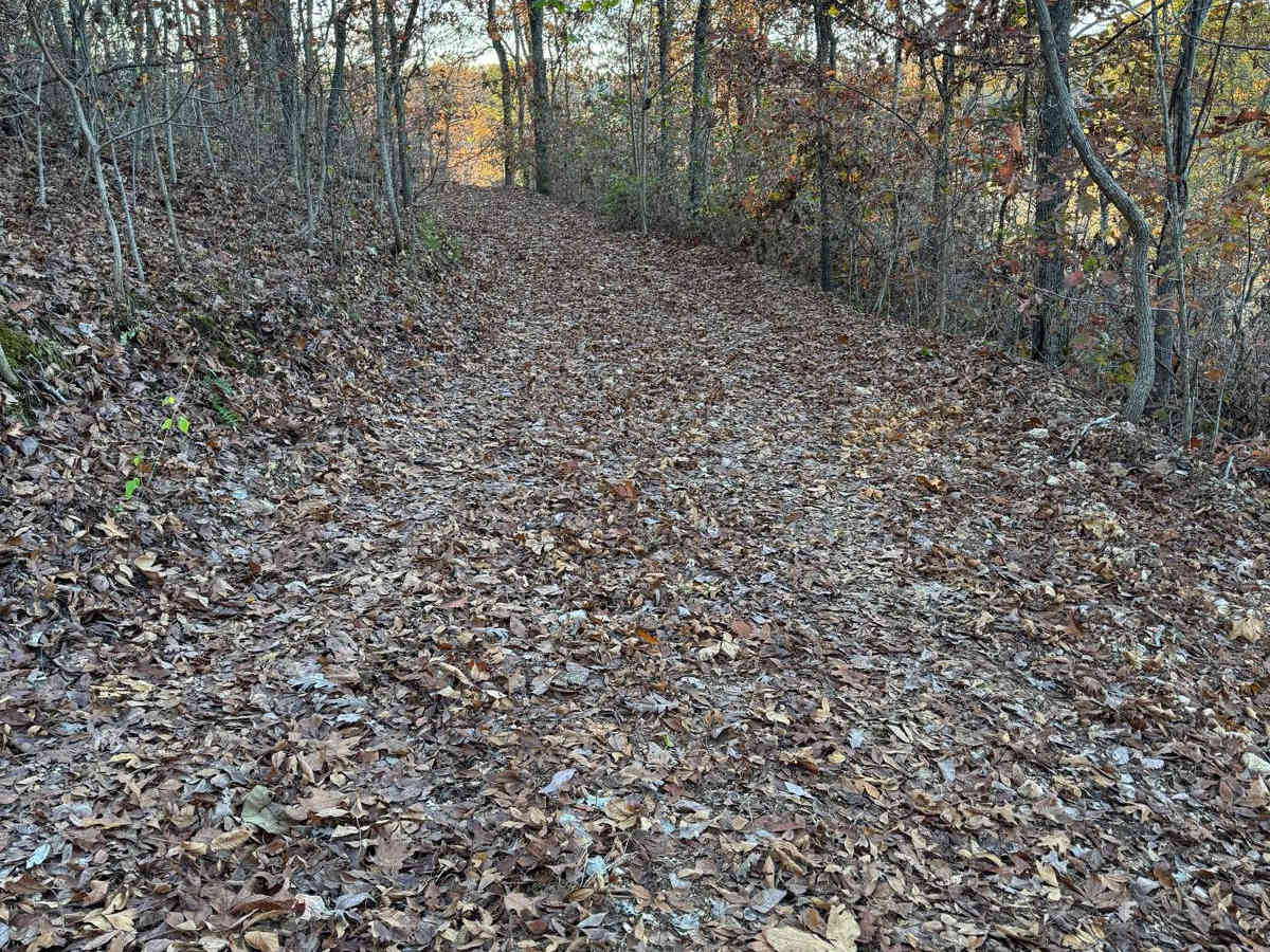 Yellow 152 trail photo