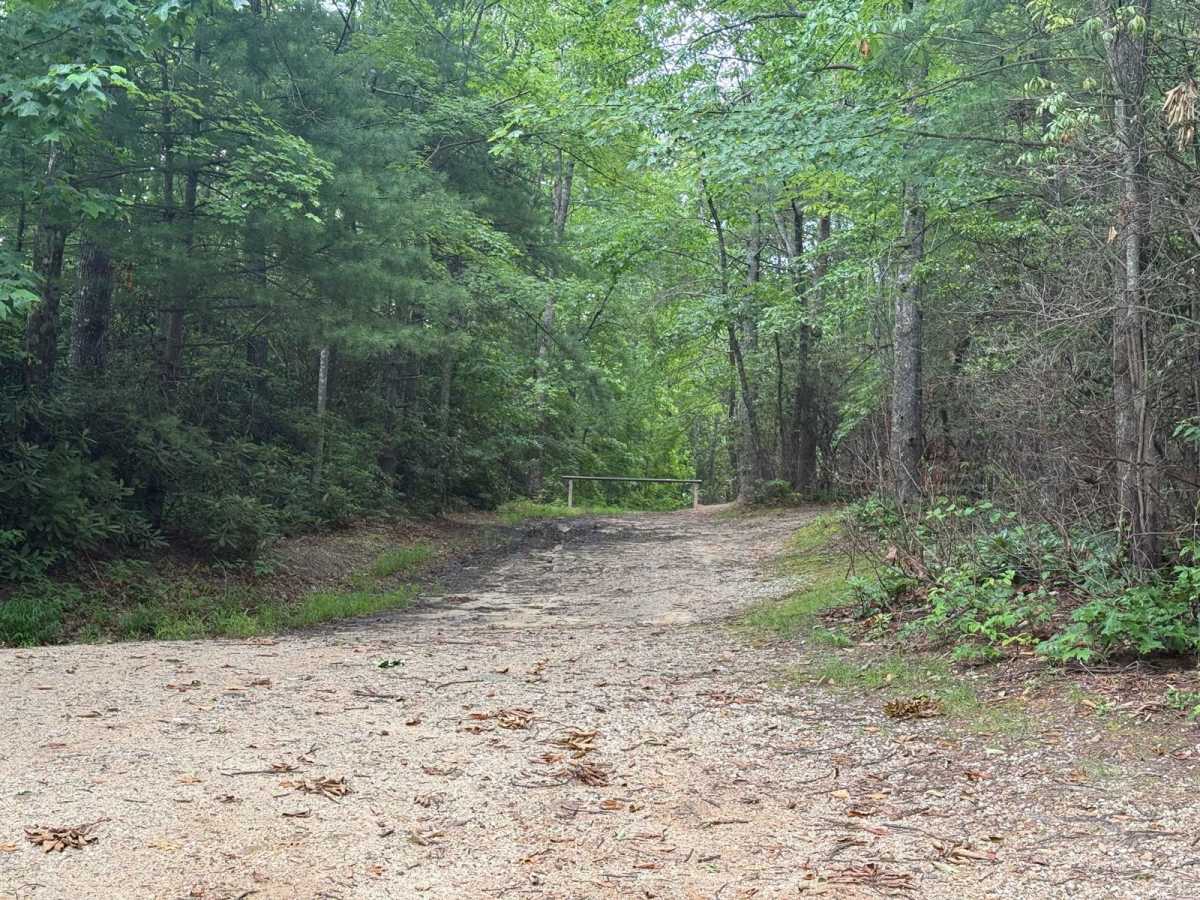 Watauga Turnpike - FS 45 photo 4