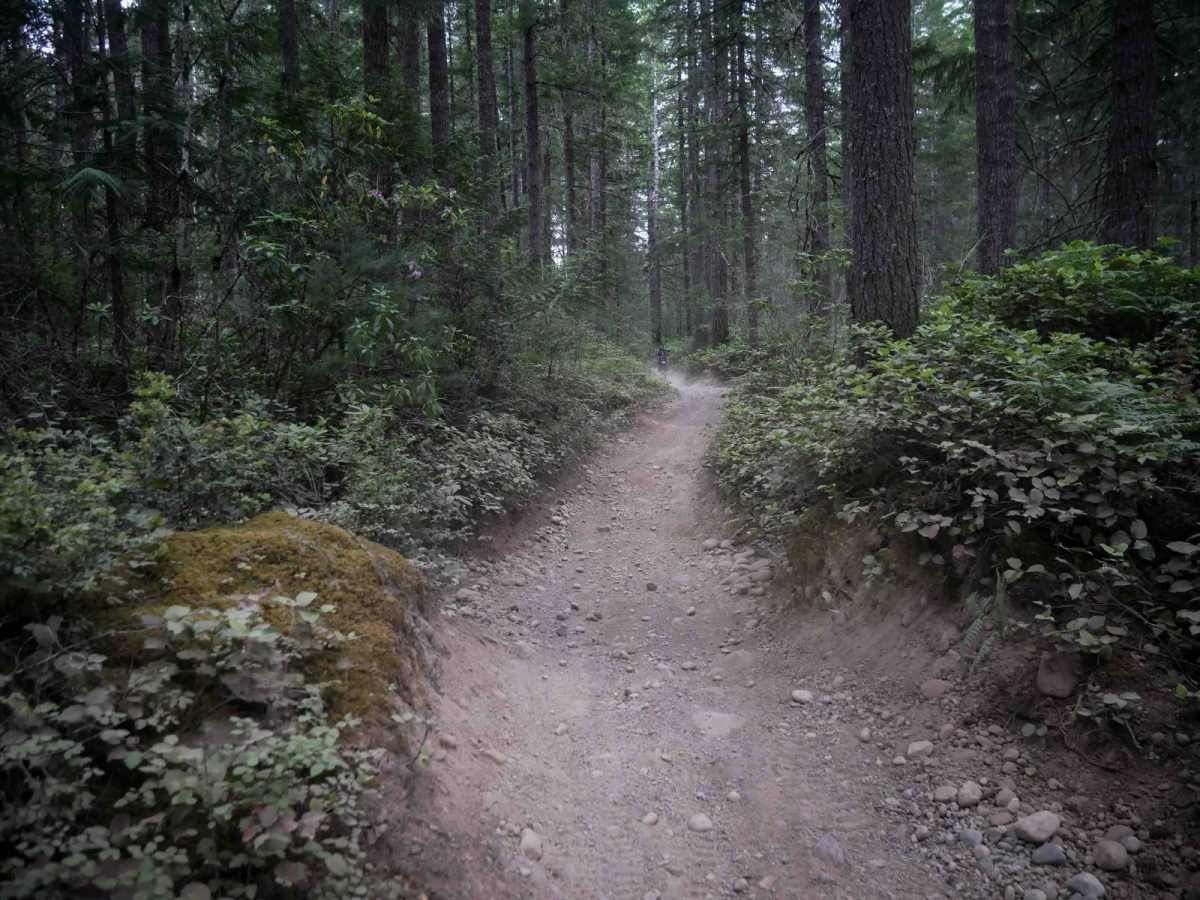 Staging Access Trail photo 3