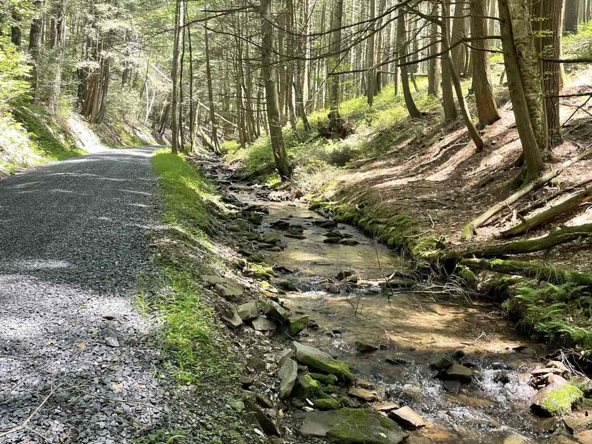 East Run Road photo 5