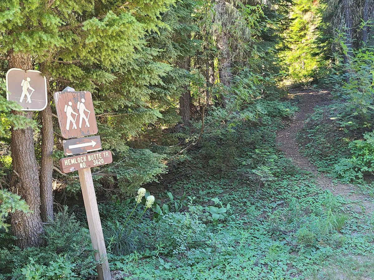 Hills Creek photo 4