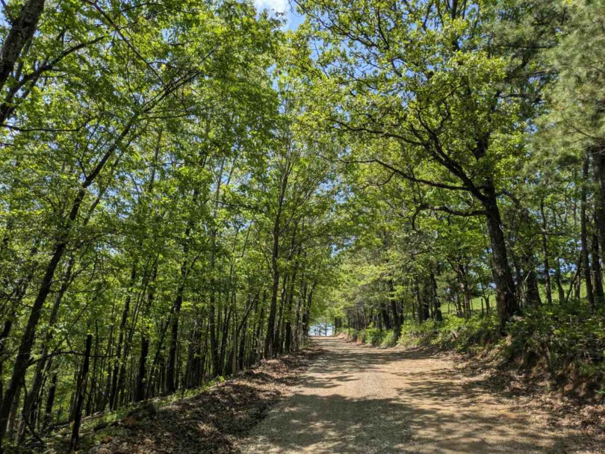 County Road 74 photo 2