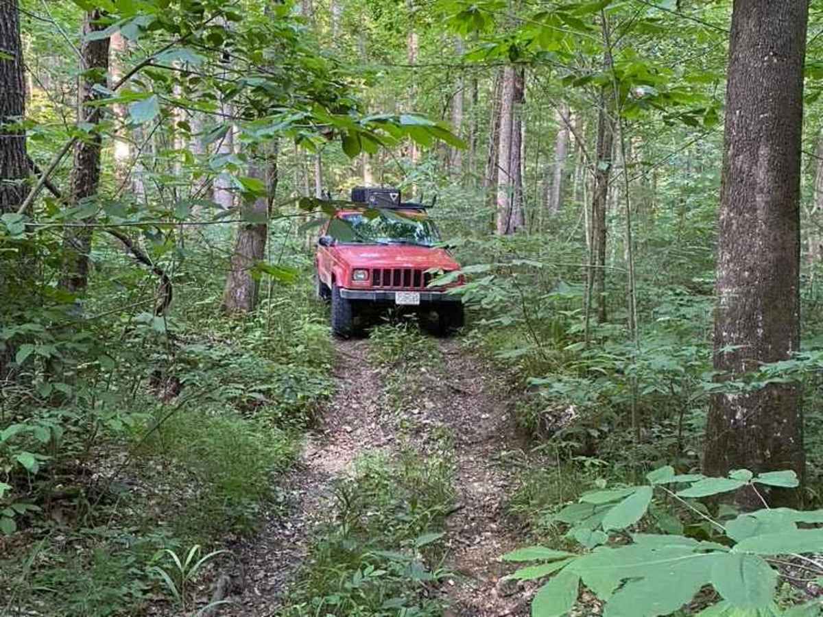 Diswood FSR 690 photo 4