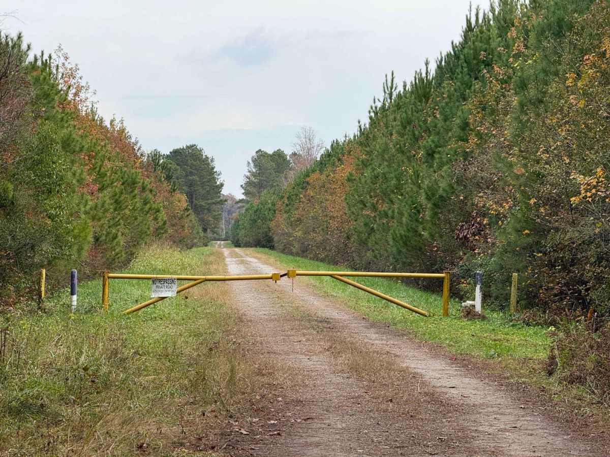 Crooked Road photo 2